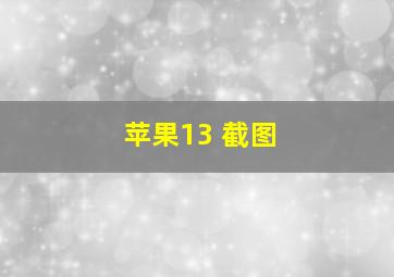 苹果13 截图